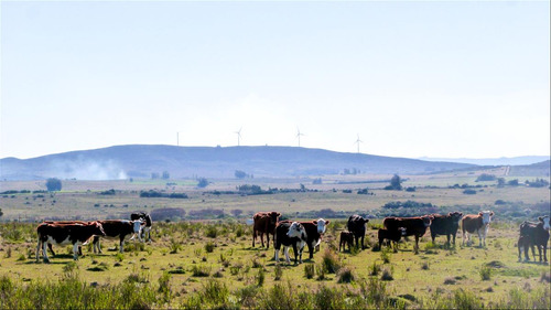 Chacras En Venta Financiación En Ruta 39 Maldonado