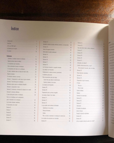 El Libro De Los 1000 Días