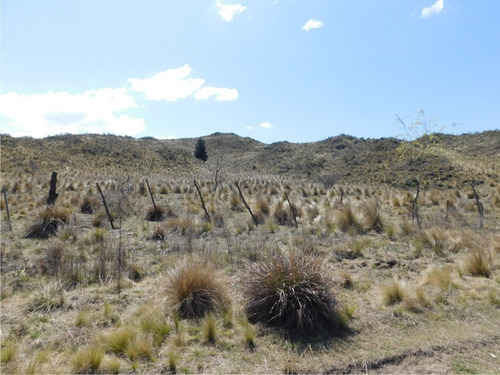 Imagen 3 de 6 de Espectacular Lote De 5.394 M2 En Zona Alta Con Herm. Vistas!
