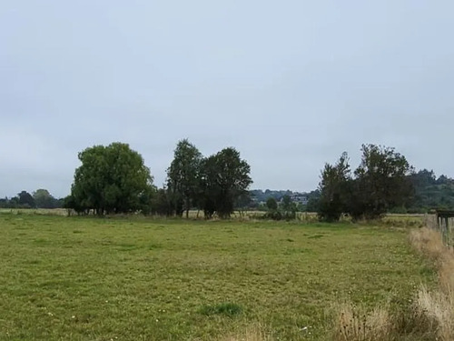 Parcela En Frutillar: Naturaleza Y Conectividad