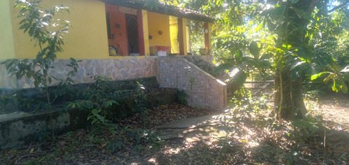 Excelente Sítío Plano De 42 Mil Mts
