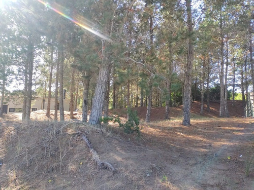 Imagen 10 de 11 de Lindo Terreno En Venta - Barrio Ecuestre De Costa Esmeralda