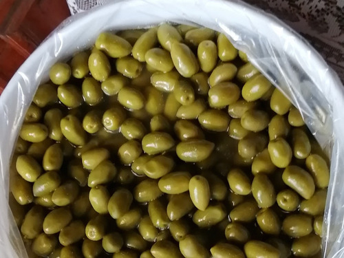 Aceituna Picual Verde Mediana Orgánica Cubeta 14 Kg Drenados