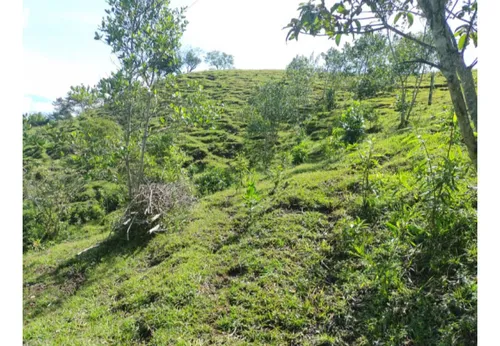 Lote En Venta En San Jerónimo