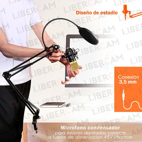 Kit Microfono Condenser Profesional Con Brazo + Filtro Araña