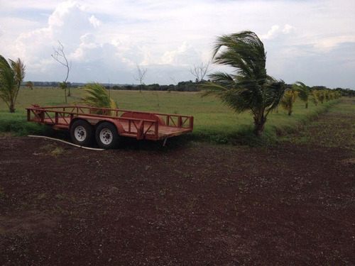 Imagen 3 de 12 de Terreno En Venta La Piedra