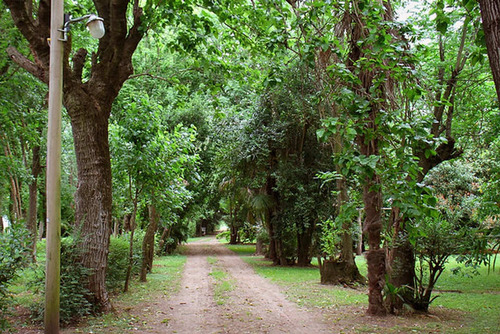 Imagen 19 de 29 de Alquiler Temp. Precioso Casco De Estancia Colonial