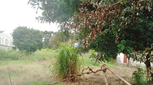 Imagem 20 de 25 de Terreno De Aprox. 2.572,12 M² Disponível Para Venda, No Alto Boqueirão. - Te00143 - 70702216