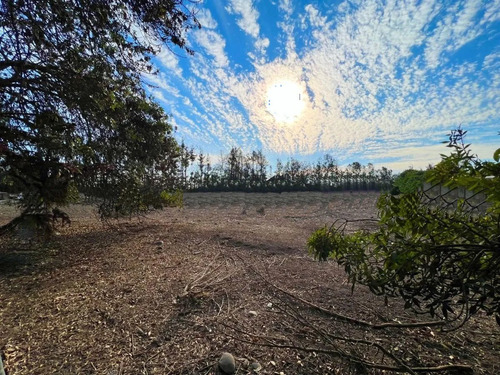 Imagen 3 de 3 de Hermosa Parcela De 5049 Mt2