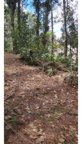 Amplio Terreno Para Cabañas En Los Alcanfores Sclc
