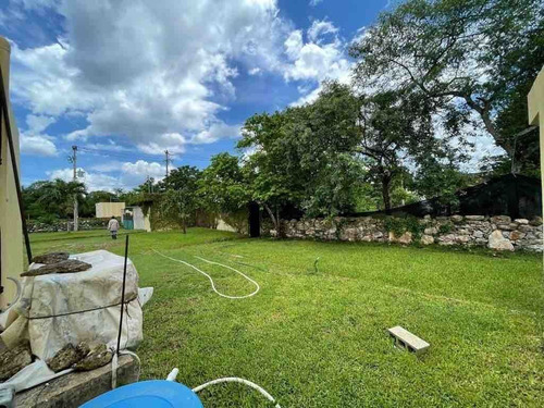 Terreno - Invernadero Cercano A La Costa Yucateca