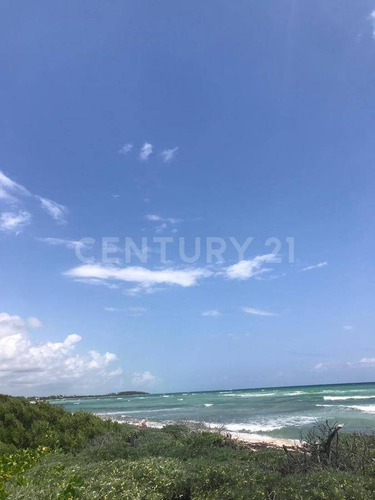 Oportunidad!!se Vende Terreno Frente Al Mar Mahahual-rio Indio P1200