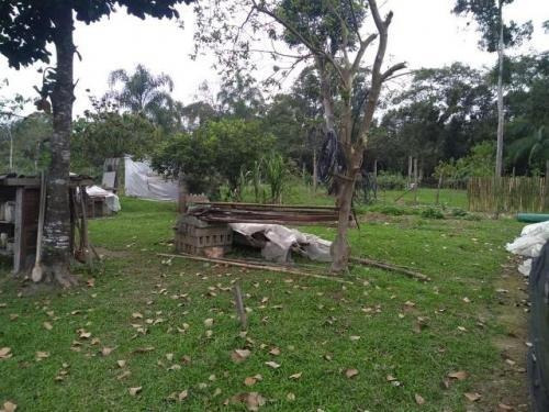 Imagem 6 de 9 de Chácara Em Itanhaém Medindo 3230m²!! - 7283 Lc