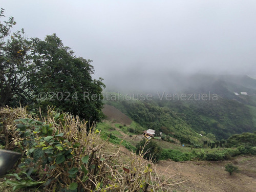 Terreno En Venta En La Colonia Tovar Cda 25-518 Yf