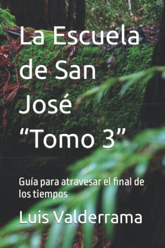 La Escuela De San Jose Tomo 3: Guia Para Atravesar El Fina