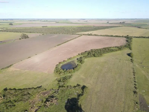 Campo En Venta De 20 Has Agrícolas Sobre Ruta 14 En Gualeguaychú.