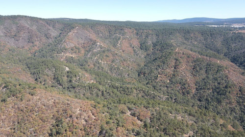 Terreno En Venta De Uso Rústico En Tapalpa