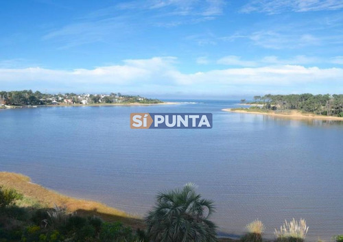 Imagen 14 de 16 de Apartamento De 3 Dormitorios Y Dependencia En Venta - La Barra