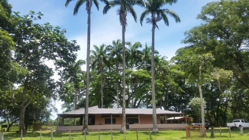 Imagen 4 de 24 de Finca En Barinas A Orilla De La Carretera