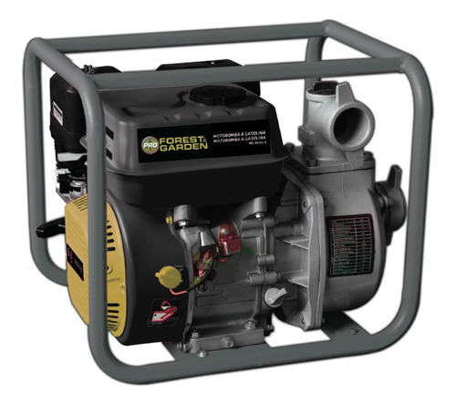 Motobombas A Gasolina 6.5hp Mg8030/2 Forest & Garden G P