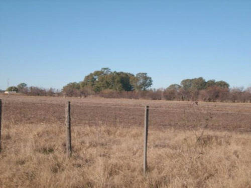 Imagen 5 de 12 de Campo Con Casa En Las Flores ,7 Hectarias,sojero