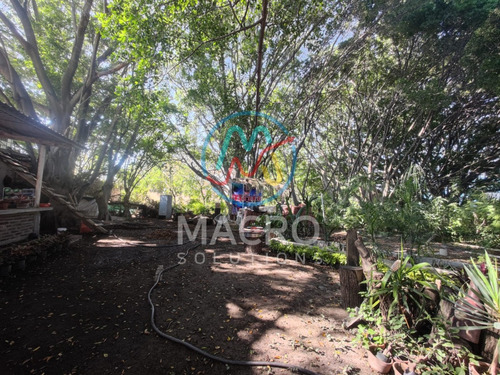 Terreno En Venta En Col. Emiliano Zapata Con Conexion A Servicios Cerca Del Centro De Cuautla Excelente Oportunidad De Inversión