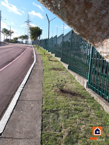 Imagem 9 de 14 de Terreno À Venda Em Jardim Carvalho - 1351
