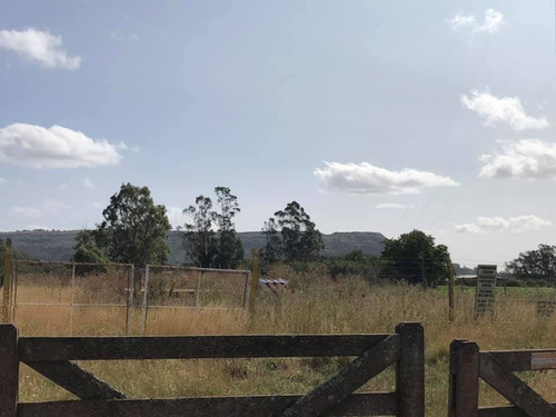 Imagen 4 de 15 de Venta 7 Hectareas Balcarce, Apto Cabañas O Quinta