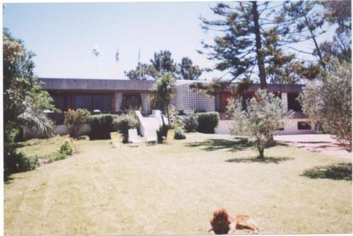 Negocio En Venta En San Rafael