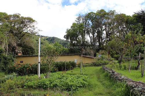 Se Vende Bella Finca De 10 Hectáreas Con Casa Colonial En Cacute Sector Santa Elena, Mérida.