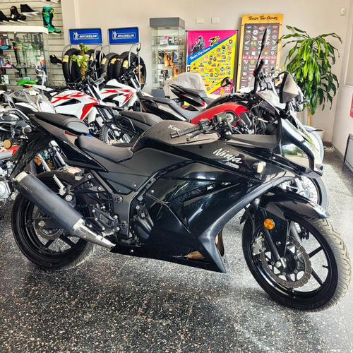 Imagen 15 de 17 de Kawasaki Ninja 250 2011 (no Dominar No Tnt 300) - Bonetto