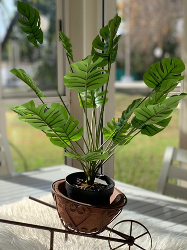 Imagen 6 de 10 de Planta Artificial Costilla De Adán Decoración 55 Cm