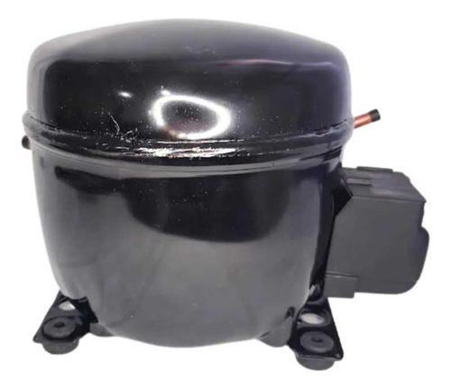 Compressor 1/3 Emb Egas 100 Hlr R134a 220v 60hz 006444.02