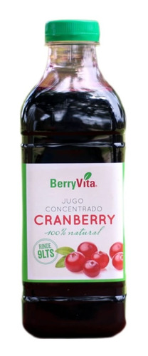 Jugo Concentrado Cranberry 100% Natural 1lt / Agronewen