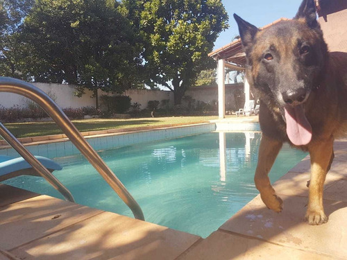 Imagem 2 de 14 de Vendo Linda Chácara, Leia A Descrição