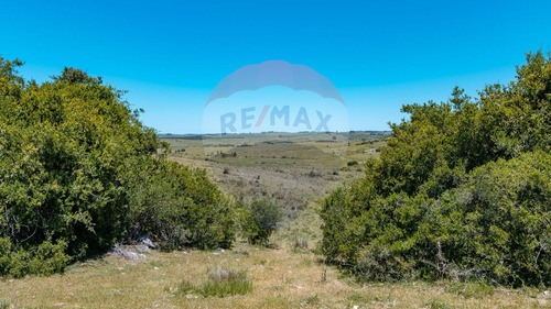 Chacras En Venta Ruta 39 San Carlos - Oportunidad!
