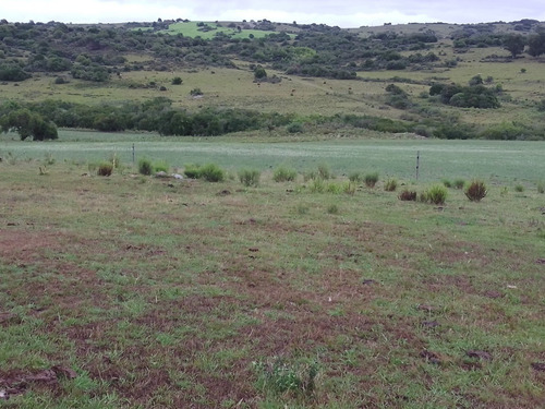 Campo De 153 Hectáreas En Maldonado