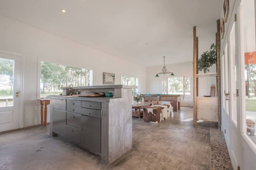 Imagen 11 de 30 de Campos O Chacras Venta Punta Del Este