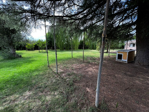 Imagen 29 de 30 de Casa Quinta Estancia Campo Venta San Rafael 5ha Hostel Turismo Salon Comercial Eventos