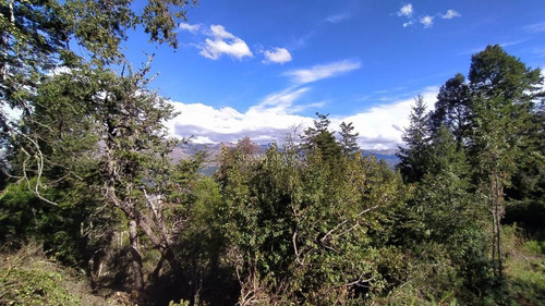 Imagen 11 de 13 de Terreno - San Martin De Los Andes