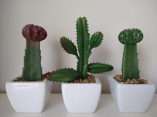 Souvenirs. Cactus Y Suculentas Artificiales En Macetita