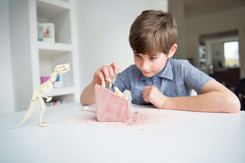 Dig A Dino Tyrannosaurus Rex