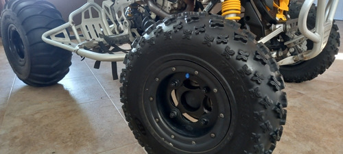 Imagen 7 de 25 de Can-am Ds 450