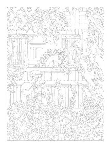 Book : Creative Haven Country Scenes Color By Number...