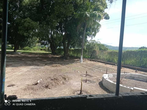 Finca De 12 Hectareas De Gallinas Ponedoras En Villa De Cura