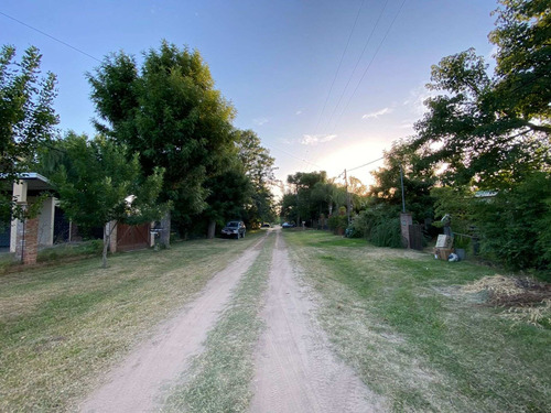Imagen 4 de 21 de Terreno Forestado Y Cercado En Venta Altura Km10r1