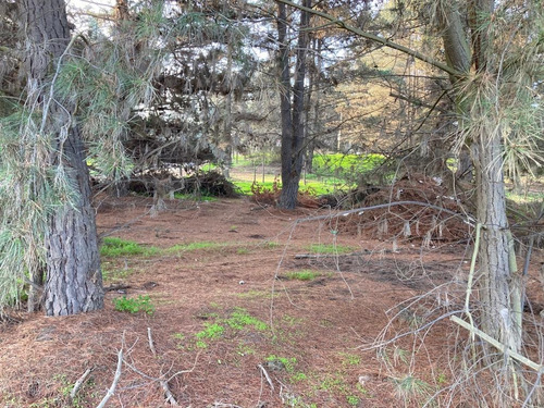 Los Pinos Parcela Subdividida Con Seis Lotes Inscritos Cbr