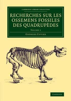 Libro Recherches Sur Les Ossemens Fossiles Des Quadrupede...