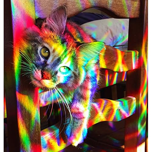 Prisma De Arco Iris Atrapar Luz Solar, Tablero De Bonif...