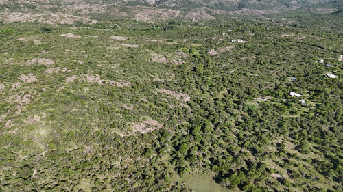 Campo En Venta En Nono, Los Algarrobos